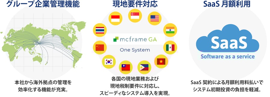 グループ企業管理機能 / 現地要件対応 / SaaS 月額利用