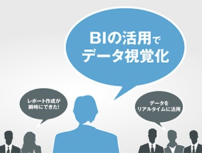 BI編
