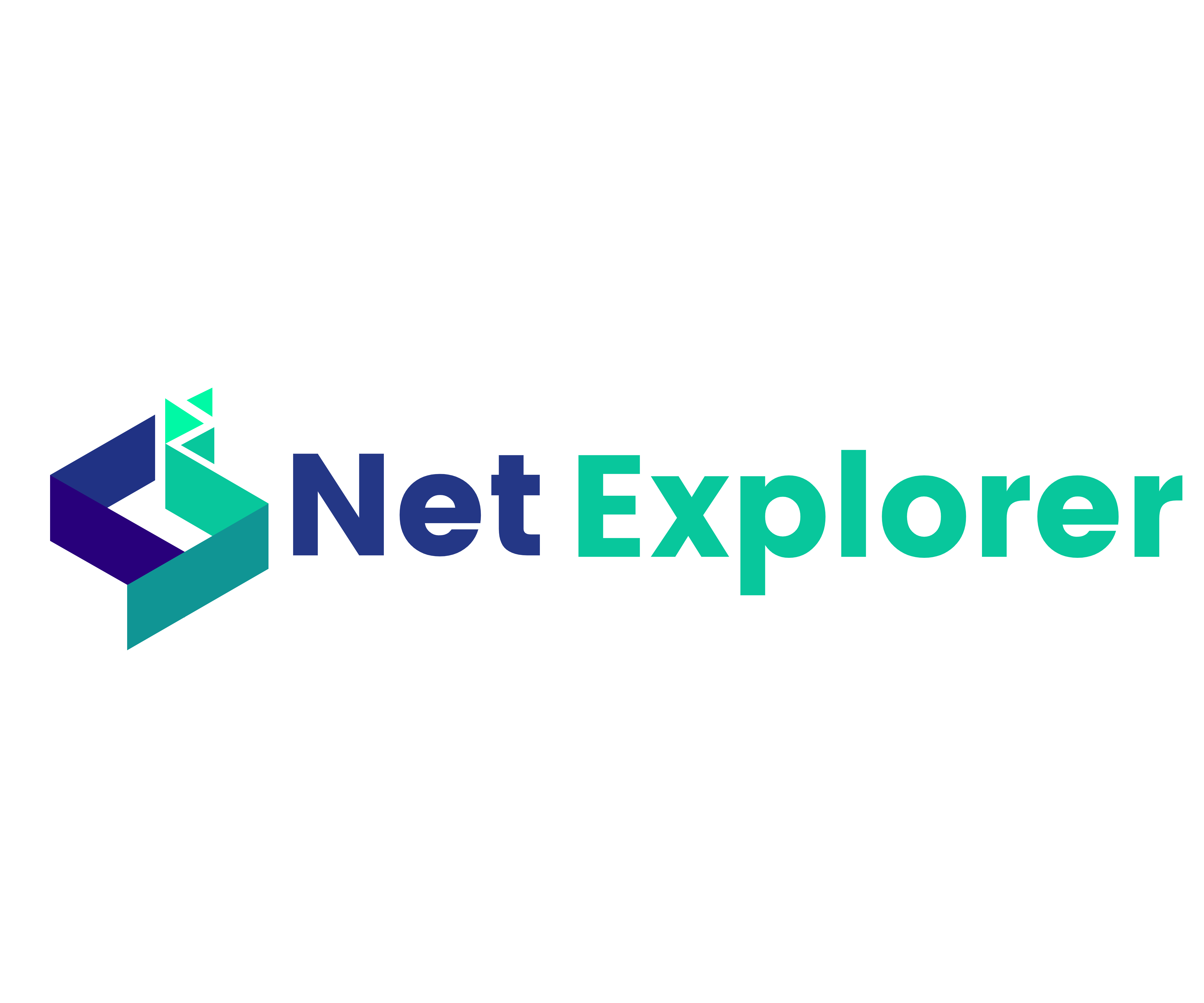 logo_netex